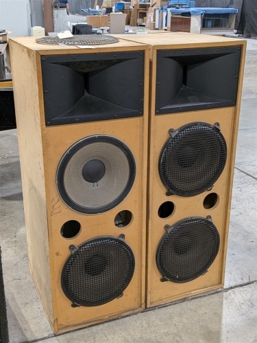 (2) Custom Speakers