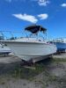 2006 23' Sea Fox Walk-around (Dania Beach, FL) - 2025520300003901-001-0000 - 2