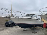 1990 22' Bayliner Trophy (San Pedro, CA) - 2025270400024401-001-0000