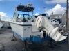 1989 23' 234 Chaparral Cuddy Cabin/Walk-Around (San Pedro, CA) - 2022270400090401-001-0000 - 3