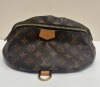 Louis Vuitton Bum Bag (Dayton, NJ)
