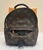 Louis Vuitton Backpack (Dayton, NJ)