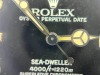 Rolex Sea-Dweller 4000 (Pompano Beach, FL) - 22