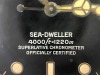 Rolex Sea-Dweller 4000 (Pompano Beach, FL) - 25