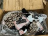 Women's Clothing (Riverside, CA) - 38