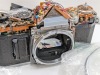 (5) AE-1 Canon Cameras - 24