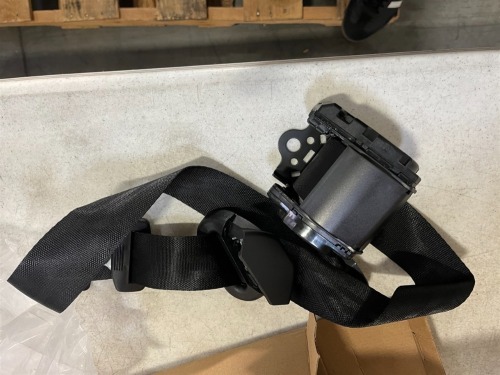 Seat Belts (EXPORT ONLY) (Riverside, CA)