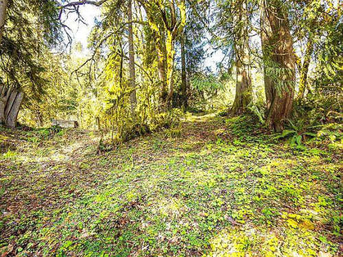 Residential Land