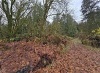 Residential Land - 2