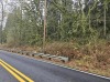 Residential Land - 4