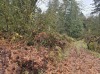 Residential Land - 5