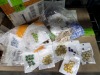 Apparel/Shoes/Gems (Channel Dist/Bensenville, IL) - 4