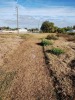 Residential Land - 2