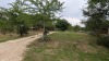 Single Family Home - 4