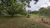 Single Family Home - 17