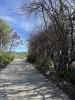 Residential Land - 8