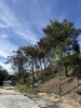 Residential Land - 116
