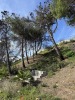Residential Land - 117