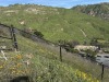 Residential Land - 134