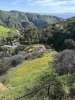 Residential Land - 142