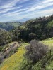 Residential Land - 145