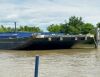 AUCTION POSTPONED - 1999 297.5' Trinity Marine Inland Tank Barge "AT-3001" (New Orleans, LA) - 2025233090000801-006-0000 - 3
