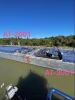 AUCTION POSTPONED - 1999 297.5' Trinity Marine Inland Tank Barge "AT-3001" (New Orleans, LA) - 2025233090000801-006-0000 - 12