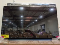 LG 48" TV