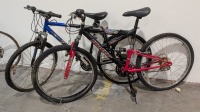 (2) Mountain Bikes