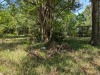 Agricultural Land - 4