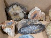 Petrified Wood & Other Minerals - 4