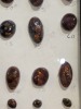 Assorted Minerals - 6