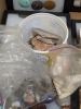 Assorted Minerals - 9
