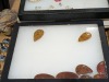 Assorted Minerals & More - 7