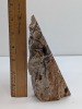 Petrified Wood Speciment - 2