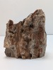 Petrified Wood Speciment - 3