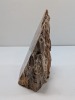 Petrified Wood Speciment - 4