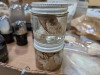 Opal-Like Minerals - 6