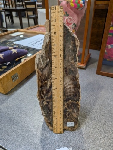 Petrified Wood