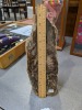 Petrified Wood