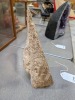 Petrified Wood - 2
