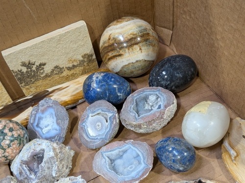 Geodes, Petrified Wood, & More