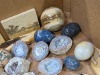 Geodes, Petrified Wood, & More